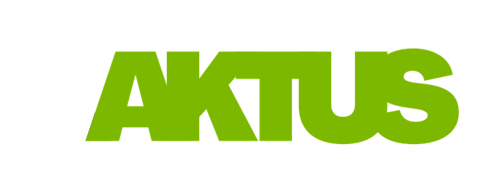 Agência KAKTUS Marketing Digital